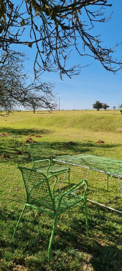Green Thumb Farm Stay Ermelo Buitenkant foto
