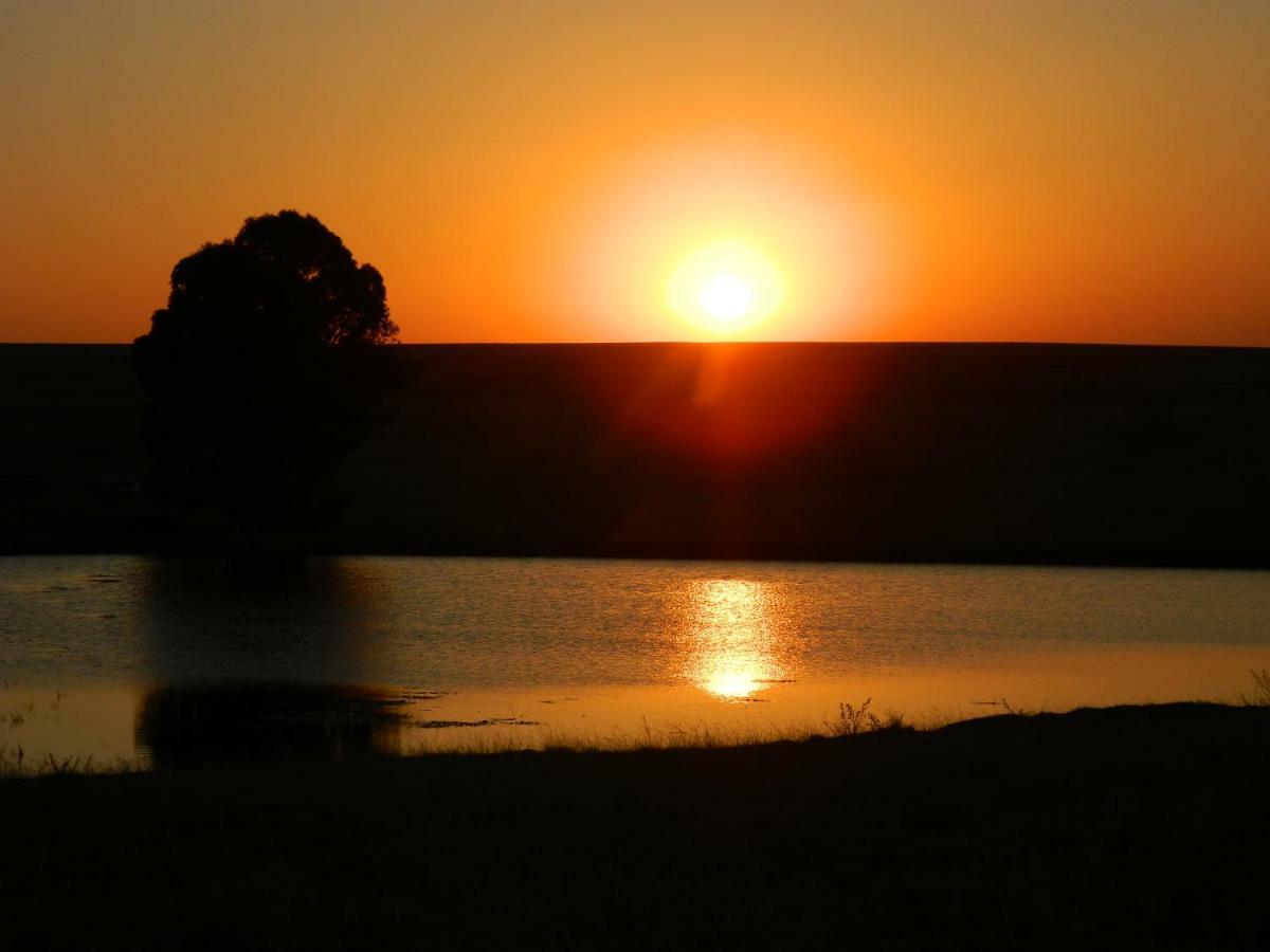 Green Thumb Farm Stay Ermelo Buitenkant foto